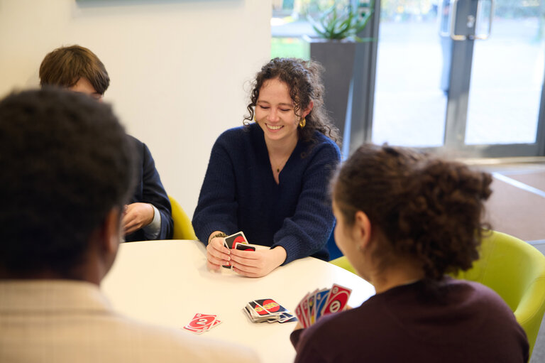 students playing with cards