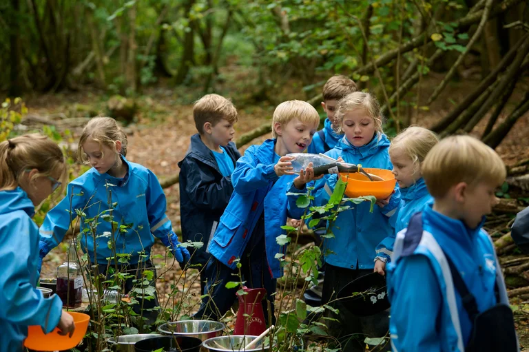 What Are the Benefits of Forest School?
