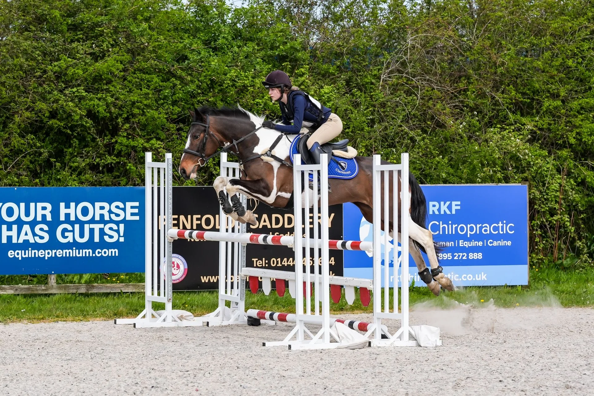 Equestrian pathway