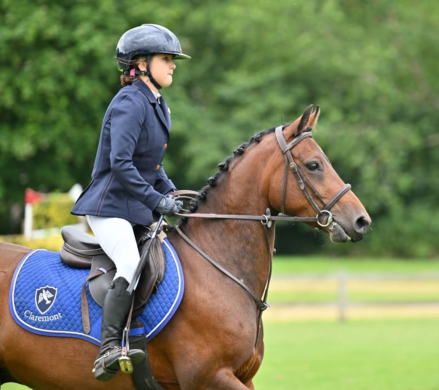 Equestrian pathway